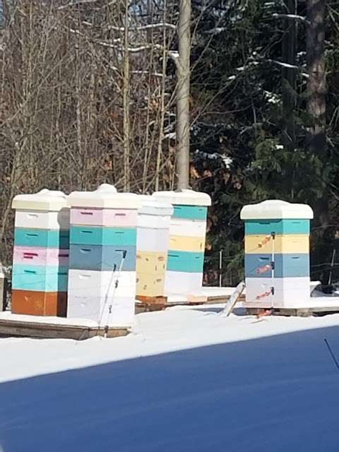 Jobs in Dancing Bees Honey Farm - reviews